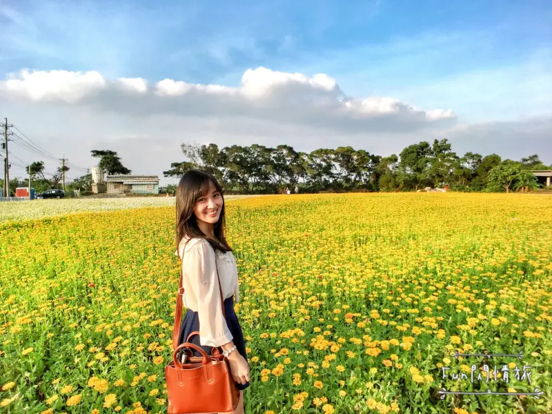 【2017桃園花彩節-楊梅場】7個場區10/28-11/26接力登場，童遊在浪漫的漸層花海中(文末交通資訊)-Fun閃情旅