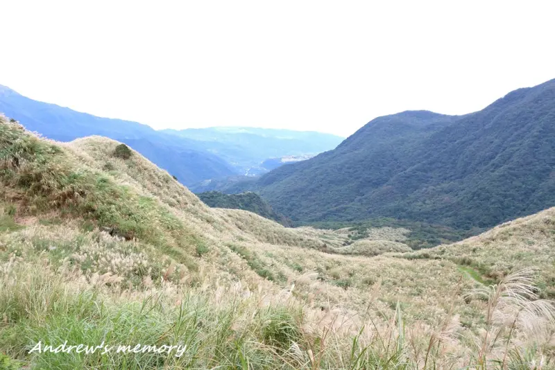 【台北．士林】魚路古道－輕鬆賞芒趣，台北必走的秋季限定古道！