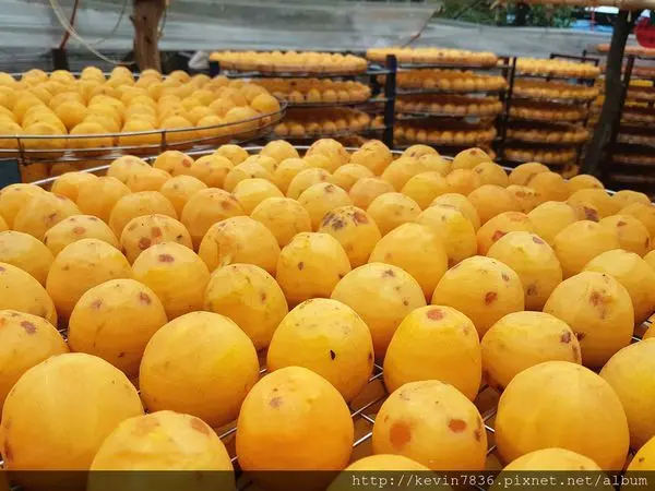 新竹<味衛佳柿餅觀光農場>哇!味衛佳觀光農場裡有香甜Q彈的柿餅與美味可口好吃的冰棒,別忘了9月到12月是柿餅季唷!