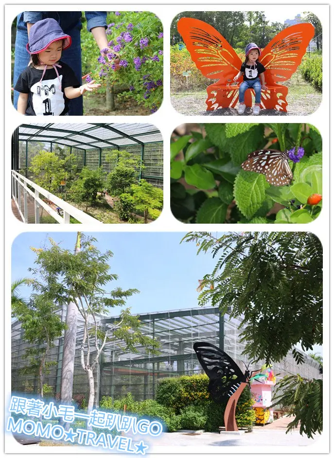 高雄旅遊-金獅湖蝴蝶園 高空賞蝶步道超厲害!! 360度鳥瞰視野全新感受~