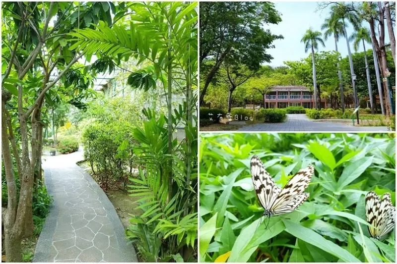 《高雄好好玩》金獅湖蝴蝶園❤市區的美麗後花園~全台最大的網室蝴蝶園｡