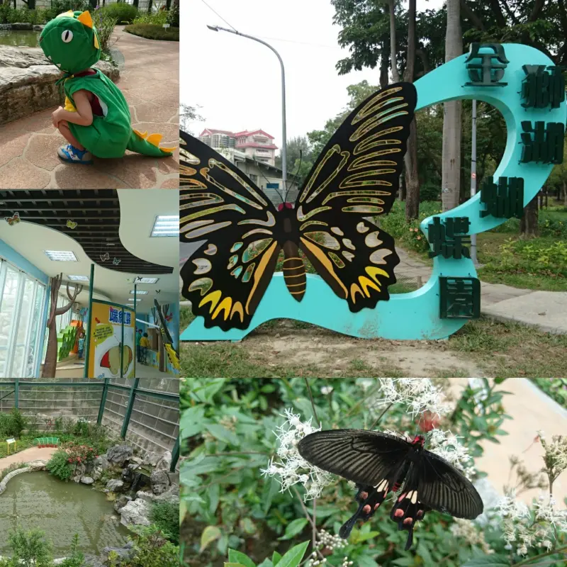 高雄~金獅湖蝴蝶園~全台最大網室蝴蝶園~近距離接觸的賞蝶空橋~蝴蝶們翩翩飛舞的祕密花園~超適合親子同遊~              
