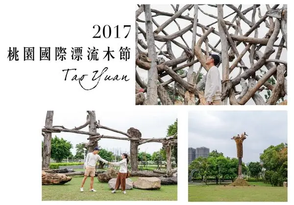 桃園區｜2017桃園漂流木藝術節，園中之園，美麗的漂流木藝術品