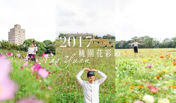 桃園中壢｜2017桃園花彩節，桃園也有絕美花海，IG熱門打卡景點！
