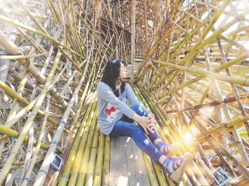 【台北IG打卡景點】台北市立美術館展覽-庇護所&沙中房間VS花博公園美術園區-可與飛機一同入鏡的玻璃金字塔