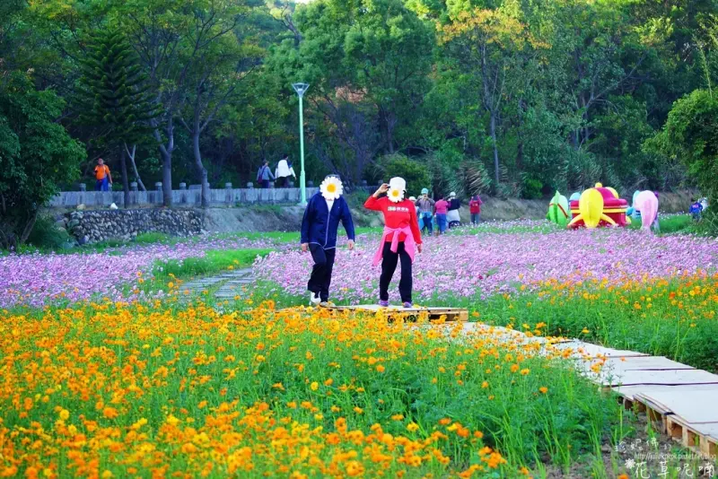 【桃園-平鎮區】2017桃園花彩節平鎮花區「平鎮花彩，嘻遊風采」11/4-11/12