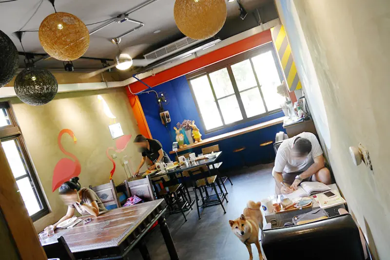 「飽食⁂高雄鼓山」鼻子咖啡餐廳，早午餐、下午茶、義大利麵，餐點全日供應的工業風寵物友善餐廳