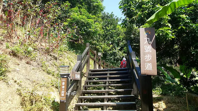 [台中⊙大坑]9號步道半日健走。俯視城市美景。舒展身心。逛市集。