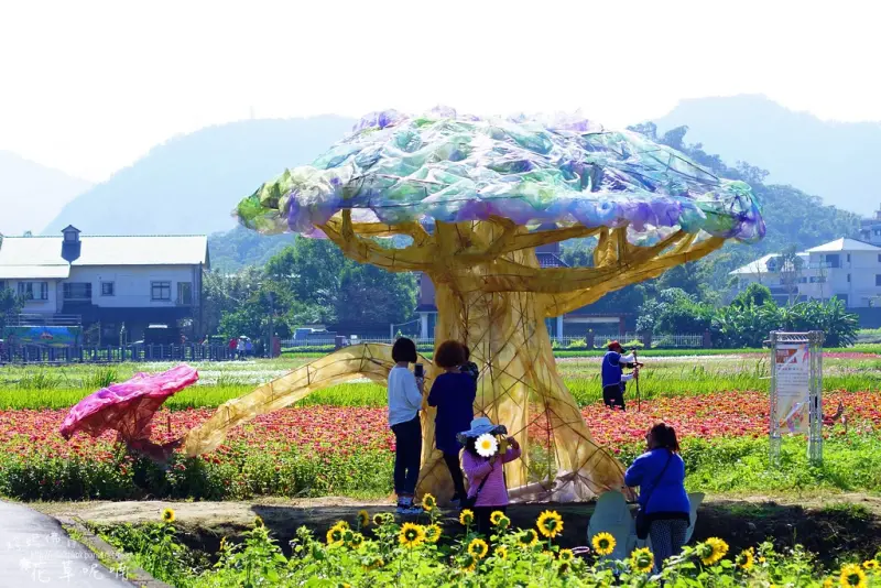 【桃園-龍潭區】2017桃園花彩節龍潭花區「花現龍潭，繽紛桃源」11/11-11/19