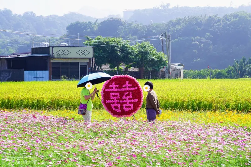 【桃園-大溪區】2017桃園花彩節大溪花區「尋訪大溪桃花源，眉飛色舞嚐美食」11/18-11/26