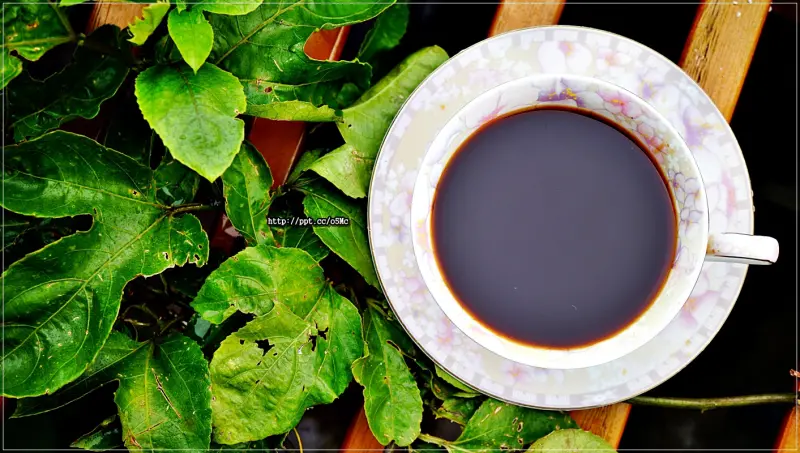 【網購宅配】佬丈人／伯源植萃MC28～八十年老配方，天然萃取，品質有保障，好朋友來，不再悶痛一整天