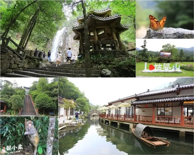 【中國大陸‧廣西賀州】姑婆山國家森林公園－桂東第一高峰|仙姑瀑布|仙姑大草坪|仙姑廟|仙姑寨|古窯冲～天然動植物王國～野生獼猴樂園～親子最愛大自然景點(合作)