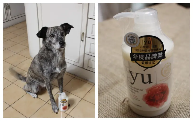 YU東方森草寵物保養系列