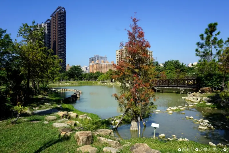 【高雄。鼓山區】高雄捷運《凹子底站》玩什麼？親愛的~我把森林變小了，讓我們走一趟『凹子底森林公園』好好感受都市叢林中還有這麼一處美麗新視野。