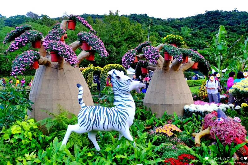 【台北-士林區】2017士林官邸菊展「眾星雲菊」