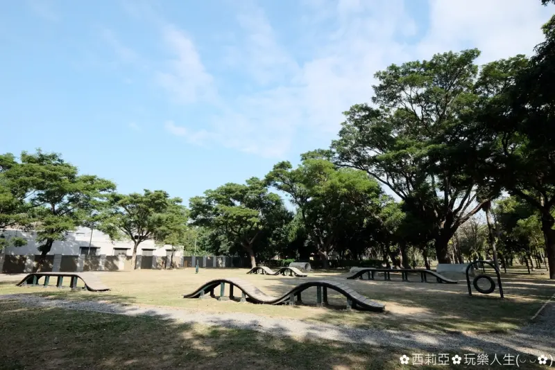 【高雄。苓雅區】高雄捷運《衛武營站》玩什麼？高雄首座寵物運動公園『狗狗公園』，園區設施超級五星級，不論是波浪板、涵洞、草地、沙地通通一次滿足。
