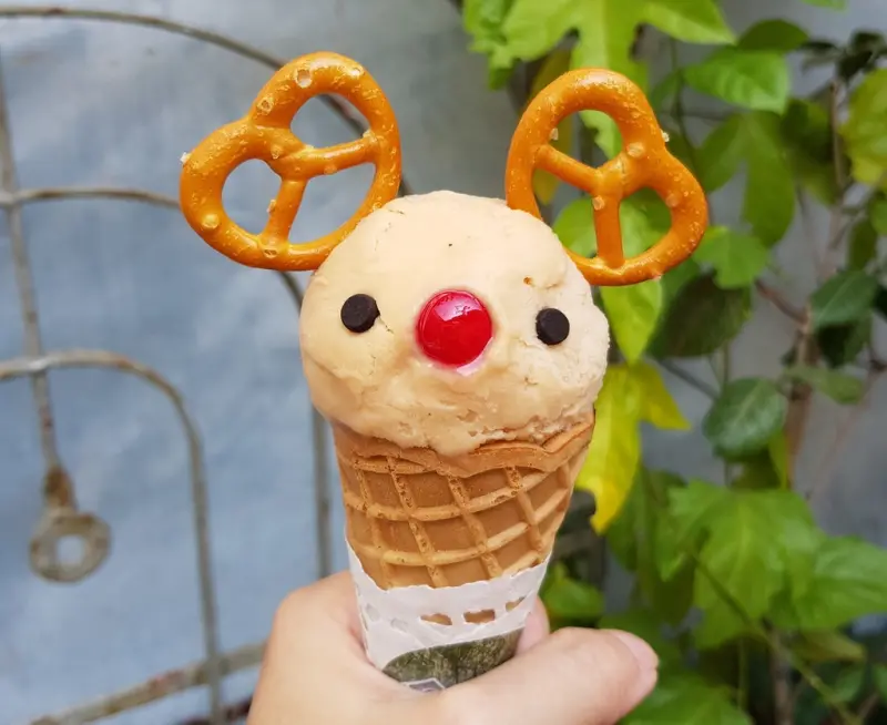 萌度破表冰淇淋全面攻佔IG版面啦~光合作用 Photosynthesis