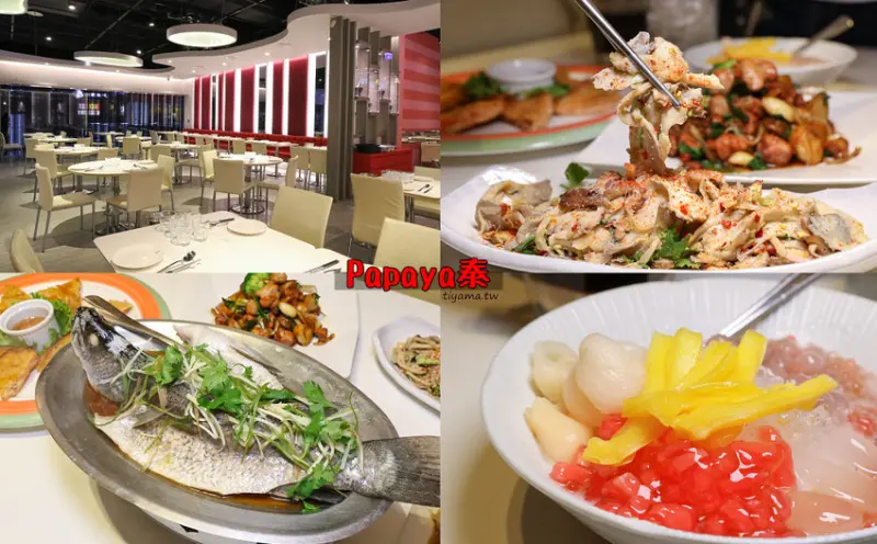 高雄泰式料理推薦|Papaya泰：聚餐好所在~3人饗宴餐精緻吃飽飽！！ - 緹雅瑪 美食旅遊趣