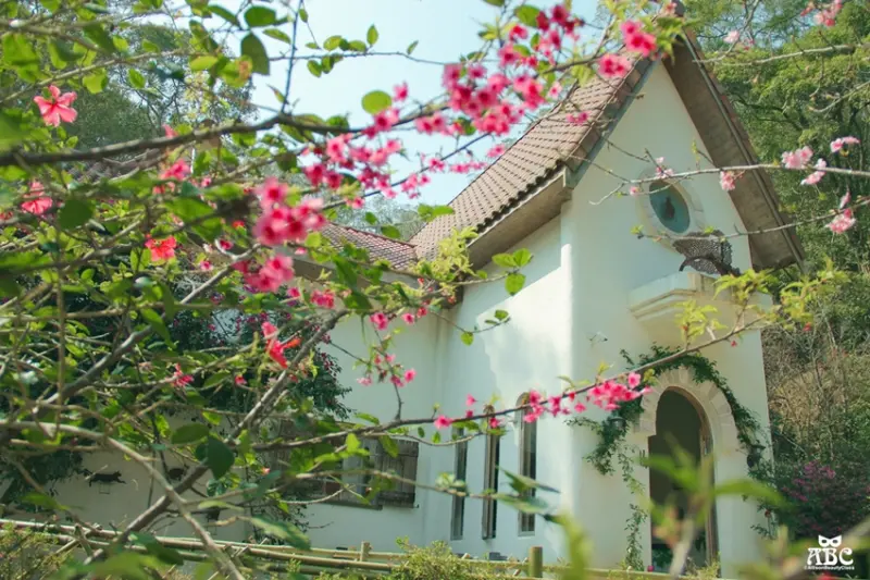 苗栗景觀餐廳|綠葉方舟，停泊在童話世界的仙境