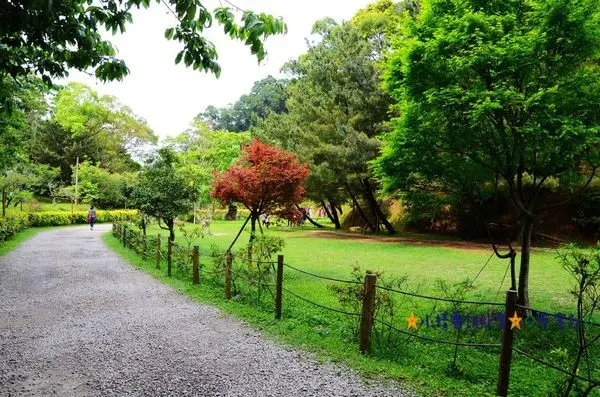 ※寵物友善餐廳※苗栗三義 山那邊。綠葉方舟親子遊★小精靈胡扯蛋★2014.10.13