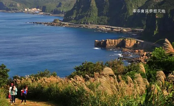 【瑞芳 / 賞芒花】南子吝步道 - 擁有無敵海景&季節限定 的芒花海