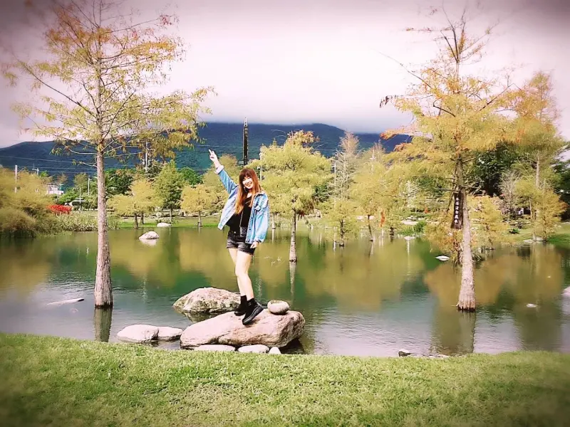 【花蓮落羽松○松湖驛站】有很美的落羽松造景 還可以悠哉享用港式下午茶!! - 花蓮哪裡有落羽松可以看? ♥食尚期貨小咪