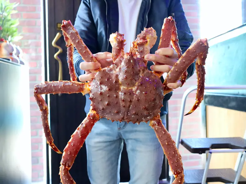 太二水產 極鮮鑄鐵鍋｜活體帝王蟹火鍋套餐，挑戰全台最便宜！