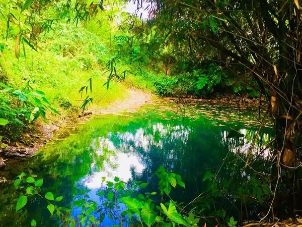 2018花蓮必遊景點【吉利潭/拉索埃湧泉藍眼淚/童話咖啡館】花蓮山線三大打卡新景點/花蓮秘境探索之旅