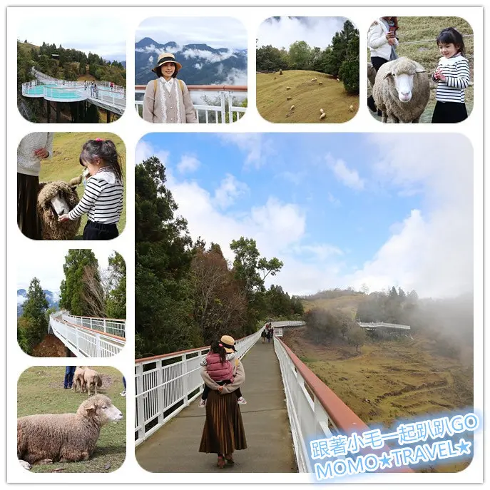 南投旅遊-清境高空觀景步道 徜徉雲霧海丨漫步櫻花林丨全台最高天空步道