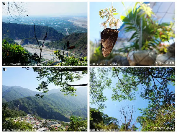 【高雄。茂林】姿沙里沙里步道。紫斑蝶群飛舞。茂林國家風景區賞蝶