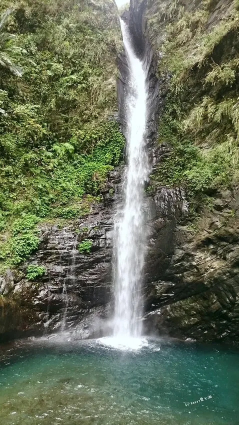 高雄期間限定超夢幻蝴蝶谷 #茂林紫斑蝶生態公園（紫蝶幽谷） / WalkerLand窩客島整理提供 未經許可不可轉載