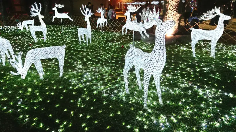 ★屏東市區★【屏東公園】打造璀璨聖誕節/一秒置身北國光景/蔥寶小火車新誕生。