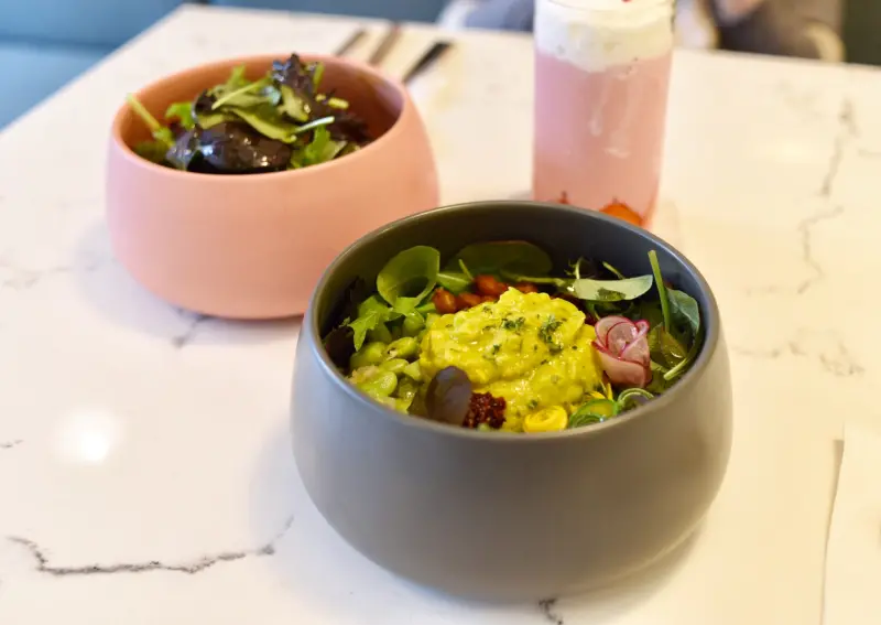 大安 小小樹食 LITTLE TREE FOOD 輕食 蔬食者的最佳選擇