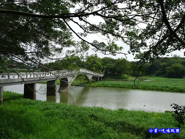 新竹免費景點【青草湖風景區】煙波飯店旁親子休閒、踏青散步景點、天鵝船、環湖步道、映月橋、清風明月牆、于飛島、立式划槳水上活動
