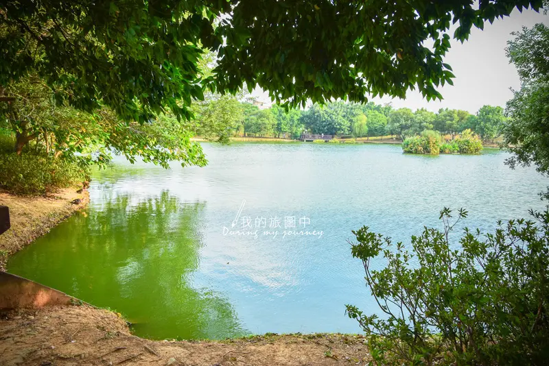 《桃園八德》八德埤塘自然生態公園 漫步在碧綠色的清幽湖畔、與鴨子共度美好午後時光