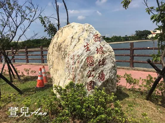 [桃園景點推薦] 八德西坡埤塘生態公園 免費景點 遊玩 親子公園