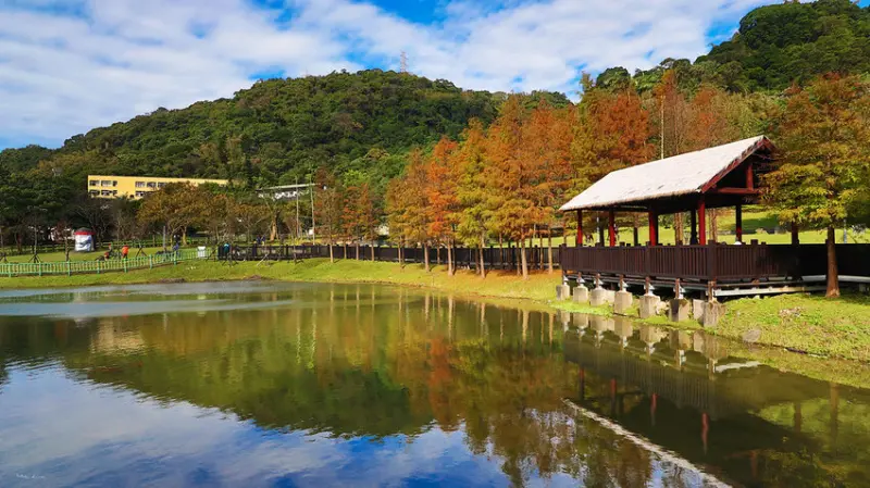  必拍士林落羽松湖畔倒影 #原住民文化主題公園/ WalkerLand窩客島整理提供 未經許可不可轉載
