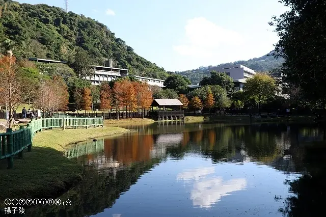 2021原住民文化主題公園落羽松夏季版｜冬季版｜2018原住民文化主題公園落羽松～