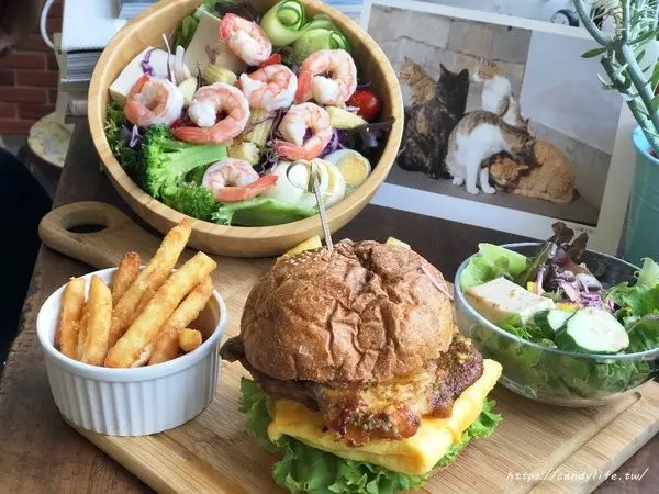 台中美食│樂樂咪小廚房〃台中寵物友善餐廳，餐點超好吃，三樓還有貓咪中途之家，歡迎有心人認養～        
      