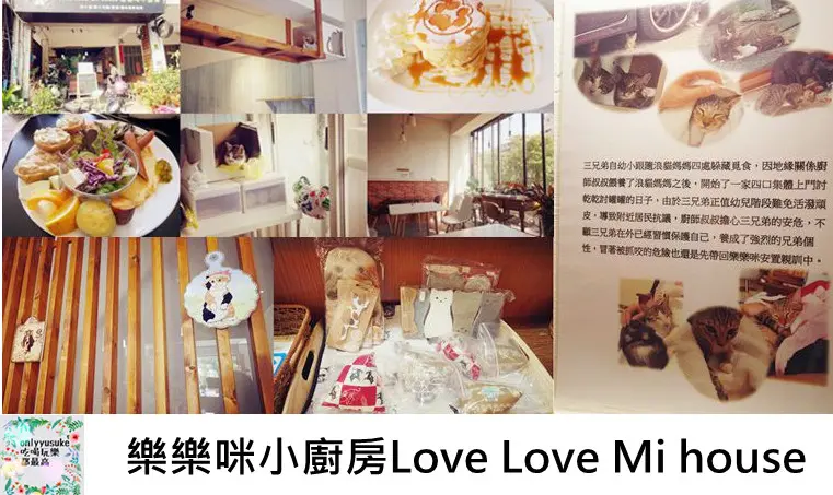 FoOd台中美術館寵物友善餐廳【樂樂咪小廚房Love Love Mi house】,餐點健康美味,充滿愛的貓咪中途之家