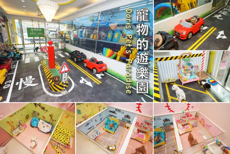 【台南寵物住宿】桃樂斯寵物美容住宿｜寵物住宿美容首選｜不關籠寵物樂園｜各種主題式套房｜夢幻遊樂場｜給毛孩最高級的享受！寵物美容住宿