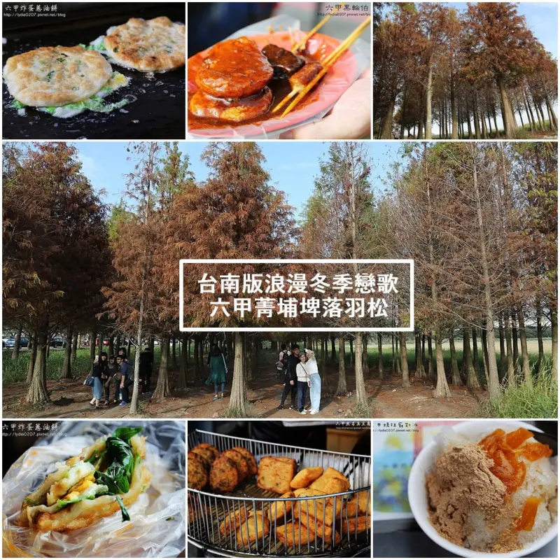 台南旅遊景點｜不用飛韓國!台南版浪漫冬季戀歌~六甲菁埔埤落羽松 +六甲必吃美食一次報你知 - 台南好Food遊