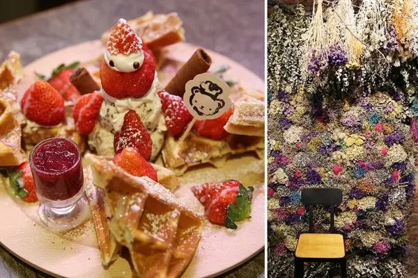 凌晨食刻熊屋。網美最愛！超好拍又夢幻乾燥花牆,寵物友善餐廳(員林火車站周邊餐廳)        
      