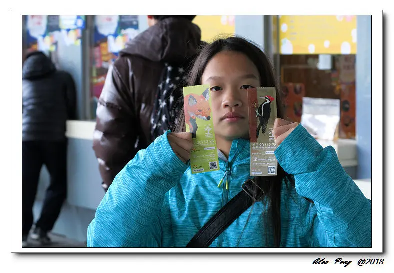 台北市-士林區-國立臺灣科學教育館-Sean Kenney -Nature Connects 大動物奇積