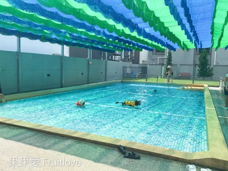 台中安全坡道式寵物泳池　乾淨．舒適．還有草坪可以跑跑　好停車　　Le Chien樂享森活寵物友善餐廳　　寵物友善餐廳