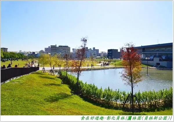 員林也有秋紅谷，綠地生態休閒踏青，假日全家出遊的好去處！彰化員林-圓林園(員林新公園)(員林滯洪池)