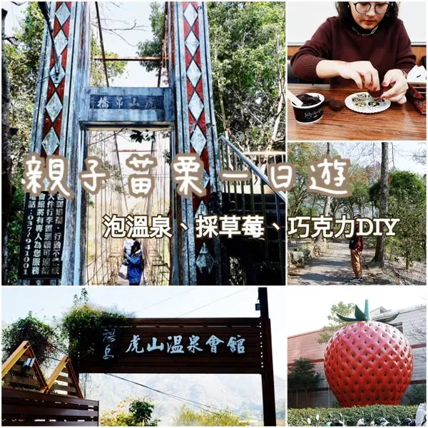 【旅遊】苗栗一日遊｜文末有優惠！草莓季又來啦！讓燦星苗栗溫泉BUS帶你全家大小一起玩・泰安溫泉、巧克力雲莊、大湖酒莊一次玩個夠！