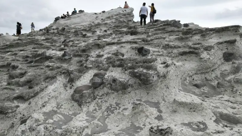 久違了，花蓮我來了，蝙蝠初體驗之DAY2