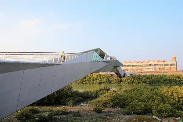 【彰化芳苑景點】王功景觀生態橋~橋身造型前衛，婚紗拍攝取景點，一整片自然生態的樹林        
      