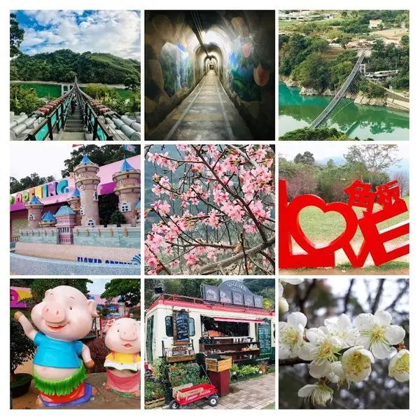 2019角板山梅花季【免費暢遊新溪口吊橋/神秘戰備隧道/GOGOBOX餐車誌/花開了】大溪超夯四大打卡景點/桃園角板山必遊景點/角板山必吃美食